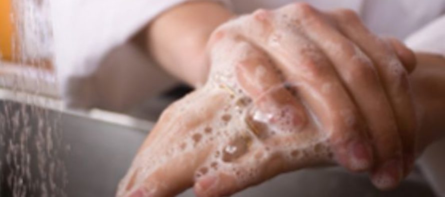 Higiene i conservació d’aliments