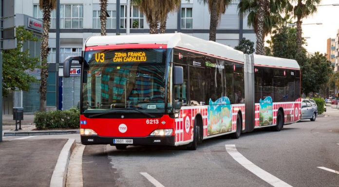 Millores en 5 línies de bus dels barris de la Marina BUS