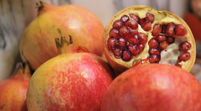 A la tardor, Magranes