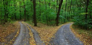 “Amb l’alcohol menys és millor”