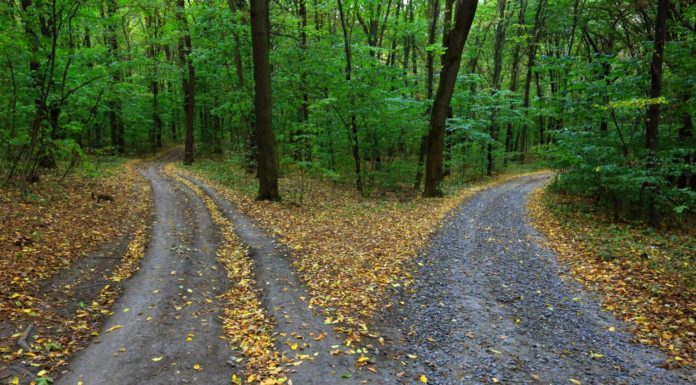 “Amb l’alcohol menys és millor”