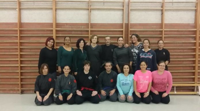 Arts marcials a peu de carrer per promoure la cultura japonesa