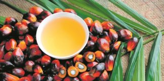 Perjudica a la nostra salut el consum d’oli de palma?