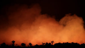 Què saps i quina opinió tens sobre els incendis que s’estan produint a la selva de l’Amazònia?
