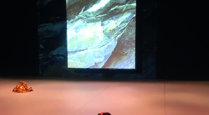 Comença la 8a edició de Sâlmon, el festival d’arts vives de Barcelona