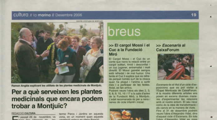 “Per a què serveixen les plantes medicinals que encara podem trobar a Montjuïc? (desembre, 2006)