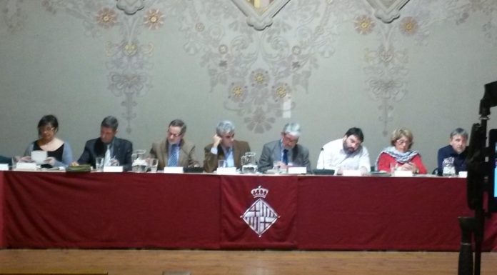 El Ple del Districte tracta els problemes dels barris de la Marina