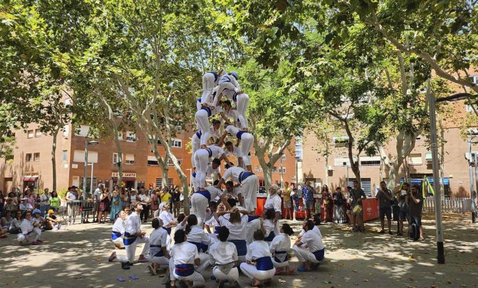 Falcons de Vilanova