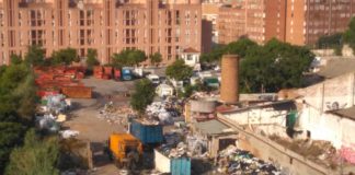 Convivint amb les rates