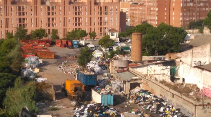 Convivint amb les rates