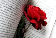 Retahílas l Aroma a libros y a rosas
