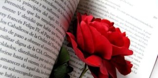 Retahílas l Aroma a libros y a rosas
