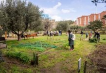 Adjudicades les parcel·les de Can Mestres