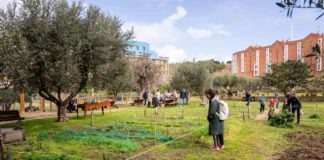 Adjudicades les parcel·les de Can Mestres