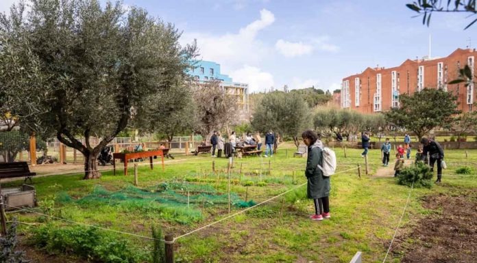 Adjudicades les parcel·les de Can Mestres