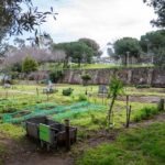 649215975_18308237707257202_118833262189915484_n