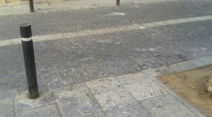 S’acumulen els excrements de les aus