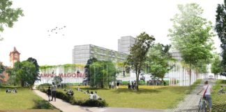 El futur de Magòria comença a prendre forma