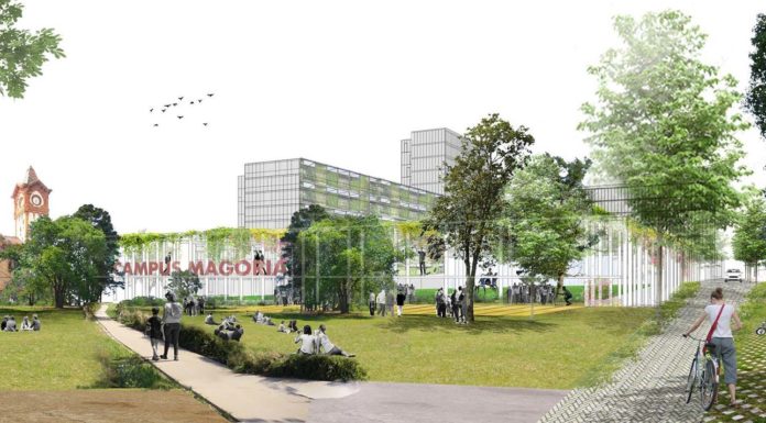 El futur de Magòria comença a prendre forma