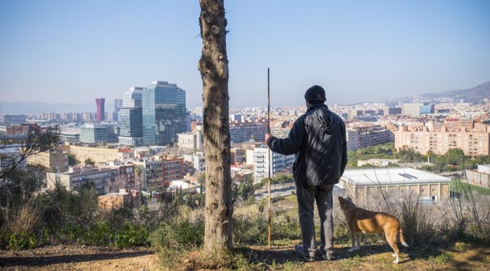 La Marina, el Districte 11 de Barcelona?