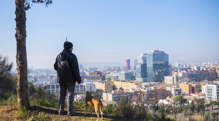 La Marina davant el repte del creixement