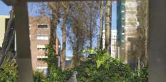 Innovar en urbanisme per garantir la sostenibilitat i el benestar de les persones