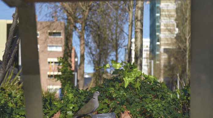 Innovar en urbanisme per garantir la sostenibilitat i el benestar de les persones