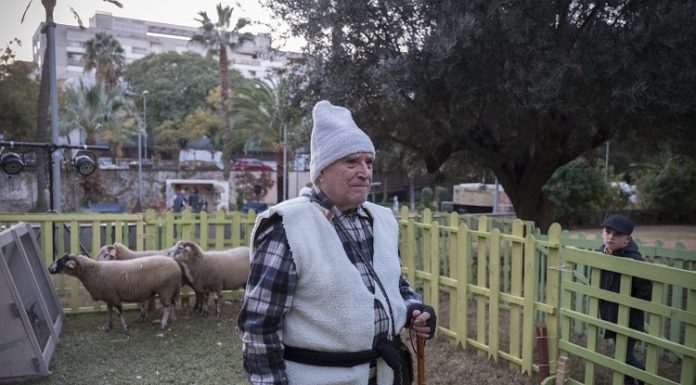 El Pessebre Vivent, més viu que mai!
