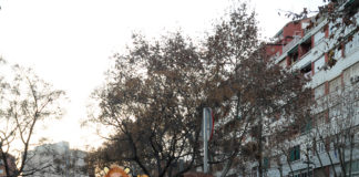 Carnaval infantil i concurs de disfresses a la Marina