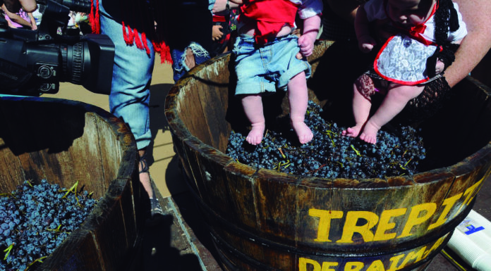 Arriba la XXXII edició de la trepitjada de raïm al carrer Plus Ultra