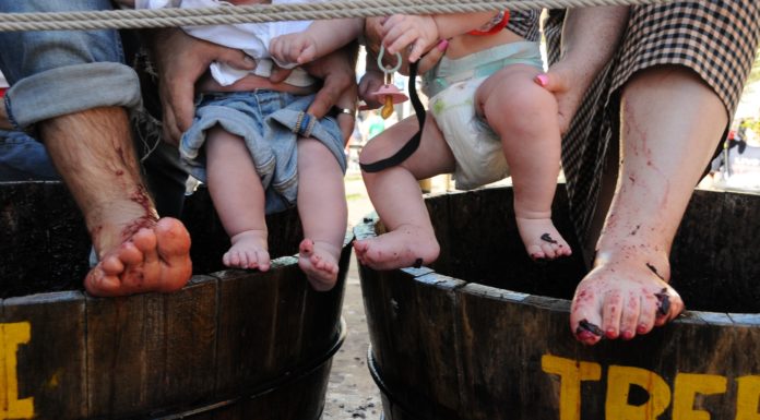 La XXXII Trepitjada de raïm al carrer se celebrarà del 15 al 17 de setembre La XXXII Trepitjada de raïm al carrer se celebrarà del 15 al 17 de setembre