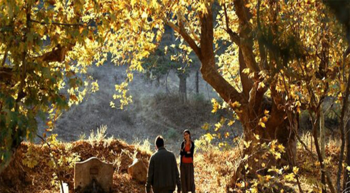 Filmar el que és quotidià i arribar a l’universal