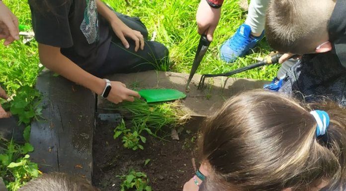 Infants de l’escola Can Clos impulsen un arxiu biodinàmic de Montjuïc