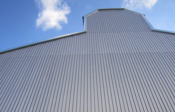 Manga a la biblioteca Francesc Candel