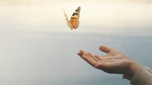 Dona importància a la vida de principi a fi