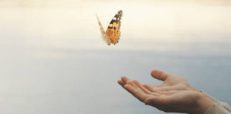 Dona importància a la vida de principi a fi