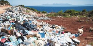 La Salut i els plàstics