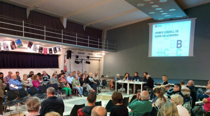 Arriben les comissions consultives de govern