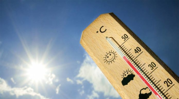 Cop de calor? guia ràpida per l’estiu