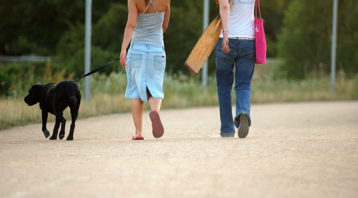 Feliç Any Nou: la cura del nostre cos