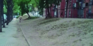 El manteniment del parterre de Ferrocarrils Catalans