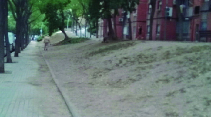 El manteniment del parterre de Ferrocarrils Catalans