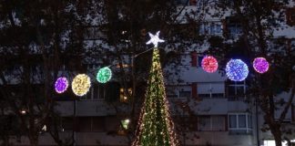 L’encesa de l’arbre dona el tret de sortida a les festes de Nadal