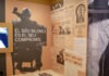 “Pau Casals, música per la pau”, una exposició al Palau Robert que reivindica el llegat d’un artista que va posar el seu art al servei de la pau