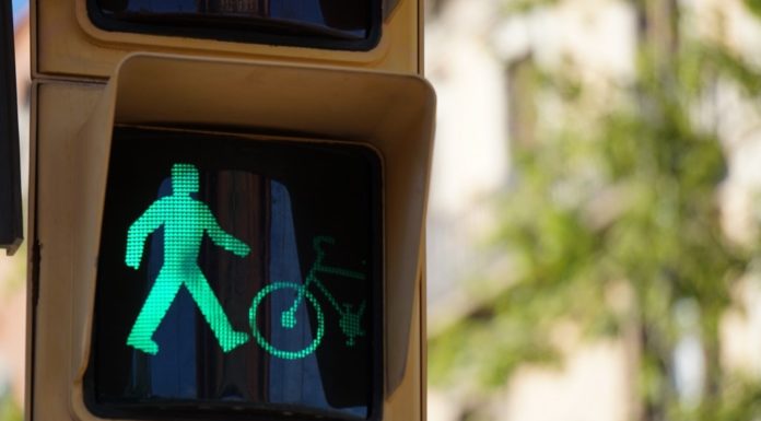 Atropellament evitable