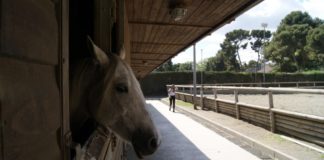 Segueix la lluita per l’hípica popular