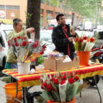 DSC08076