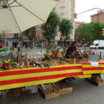 DSC08080