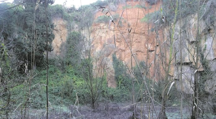 El enigmático Lago de los Ciervos de Montjuïc