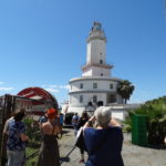 DSC08806